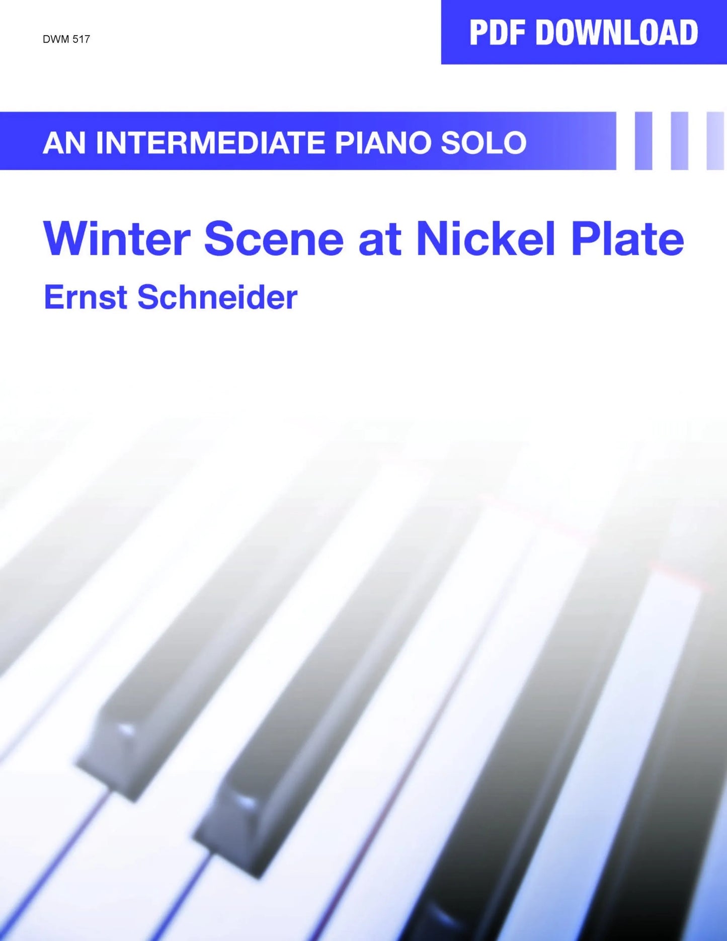 Winter Scene at Nickel Plate (PDF Download)